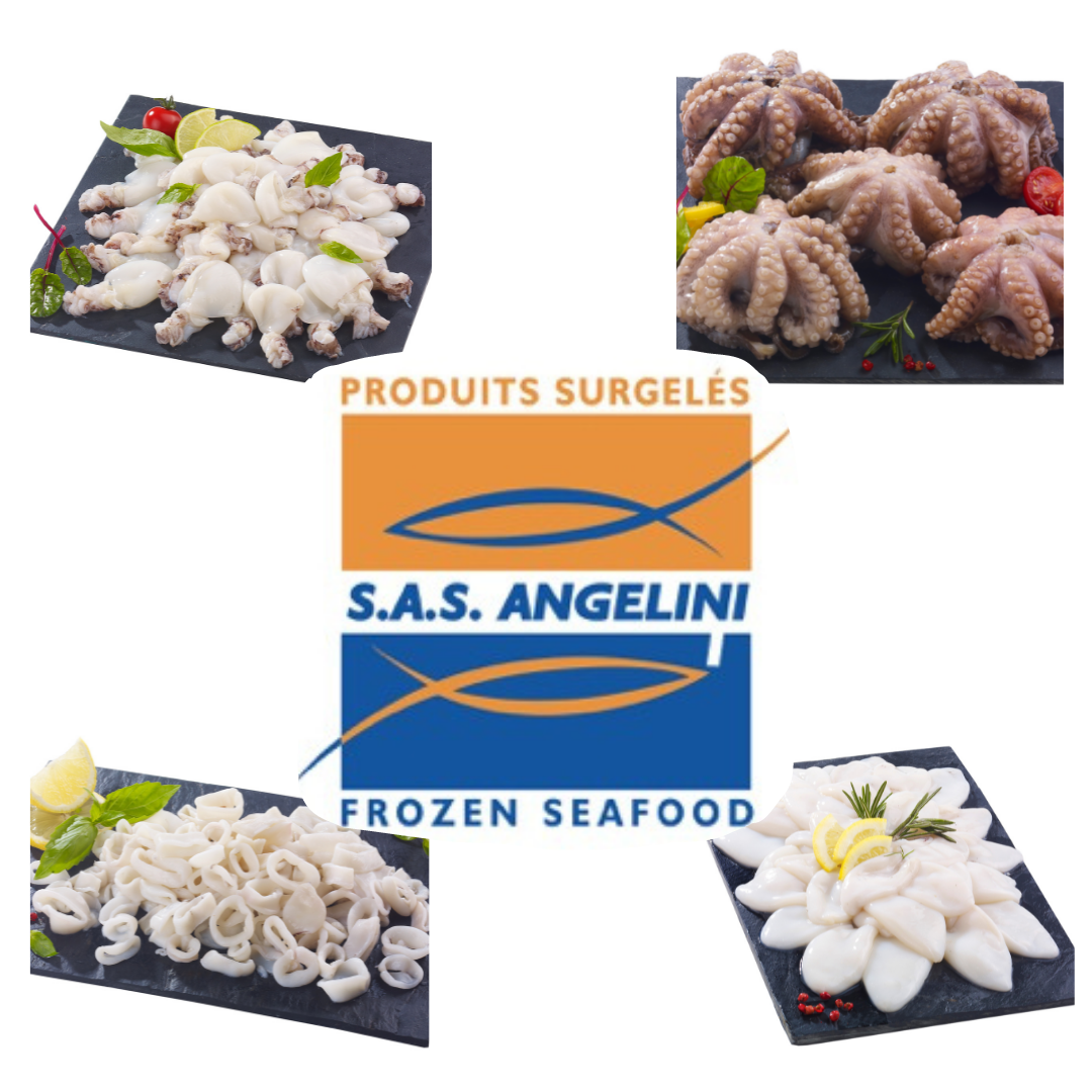 SAS ANGELINI